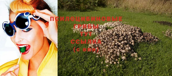 молекула духа Абинск
