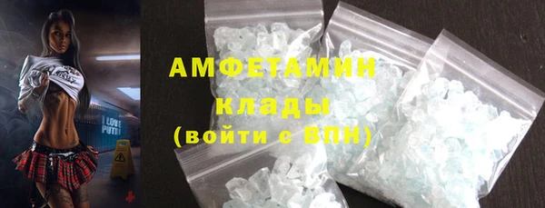 гашик Новозыбков