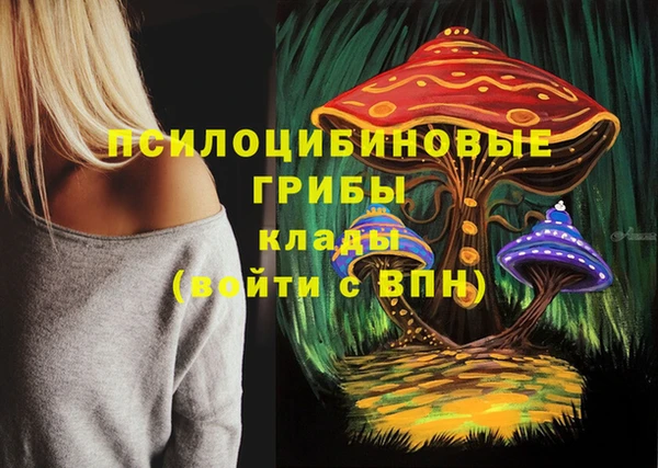 кокс Абдулино