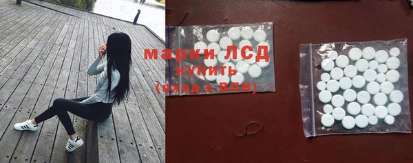 гашик Новозыбков